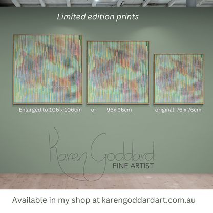 Wattle in spring Limited edition print