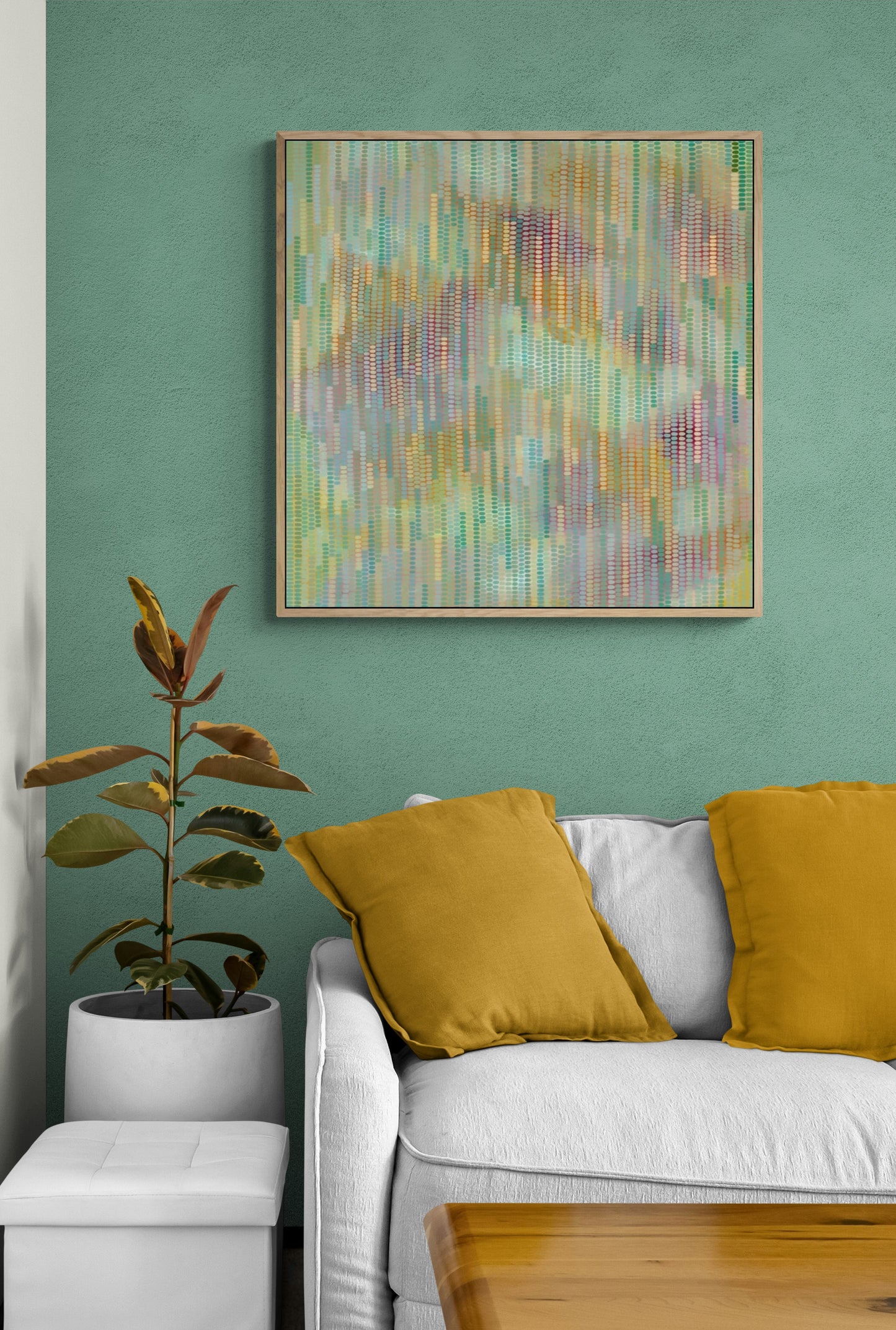 Wattle in spring Limited edition print